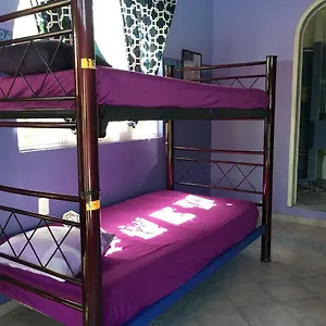 Hostal Hostel Quetzal 